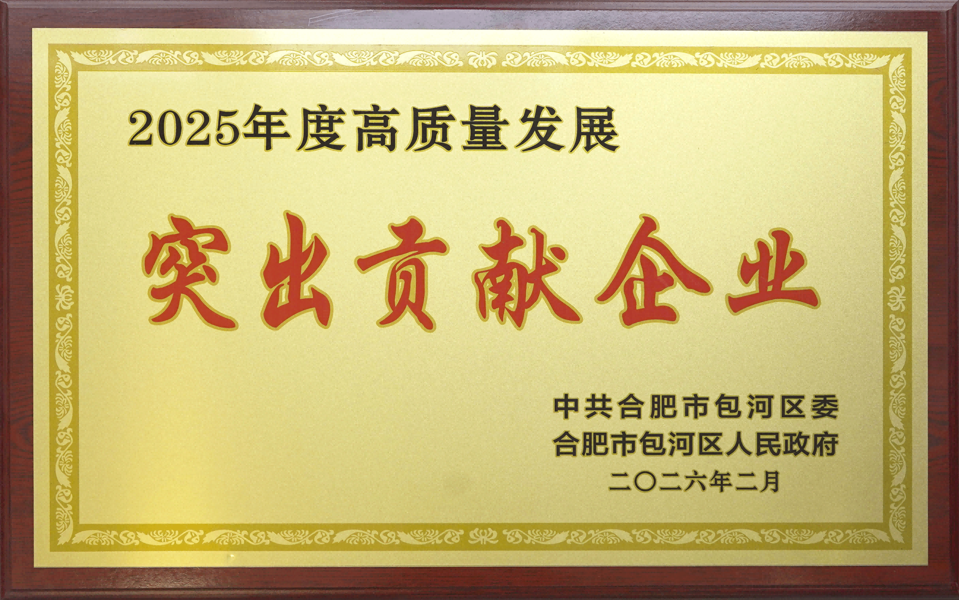 喜报|华人健康荣获包河区“高质量发展突出贡献企业”